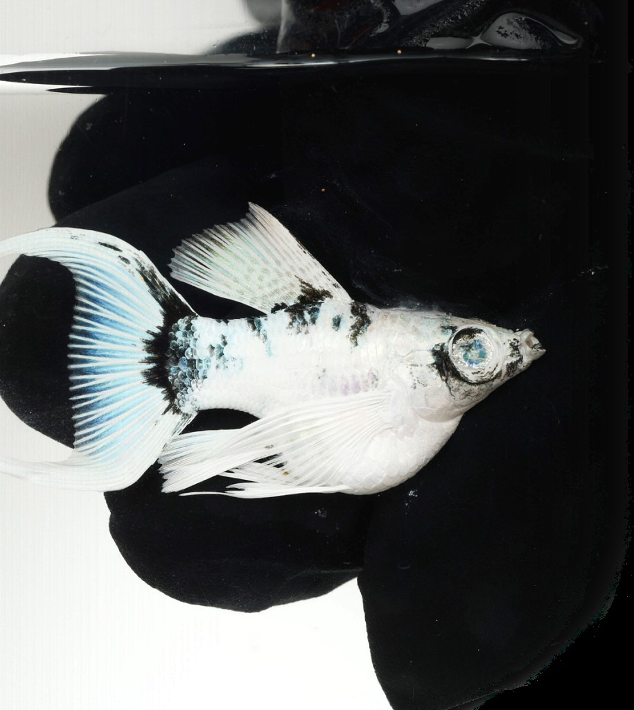 세션2 배경 사진